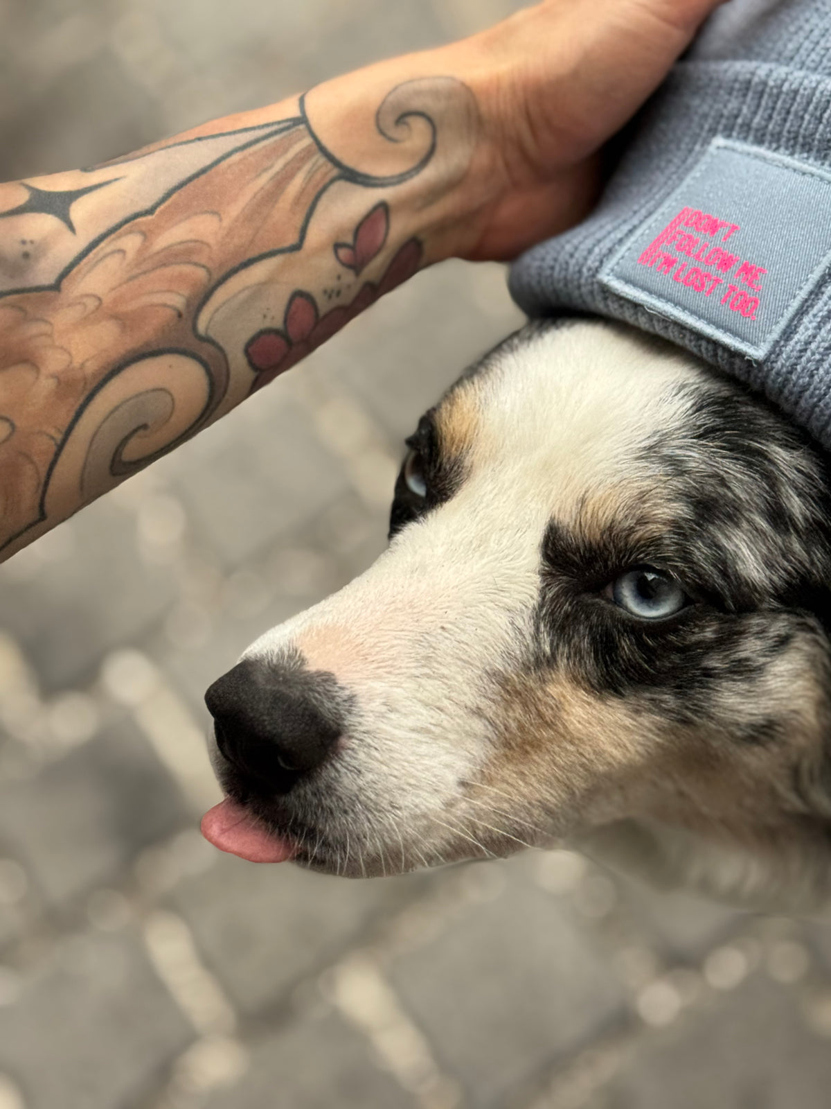 Beanie, 'Don't follow me, I'm lost too.', blue / neon pink